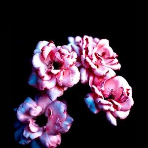 Meet your Posher, Liana